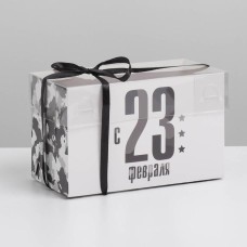 Коробка для капкейков с PVC крышкой «23 февраля», 16 × 8 × 10 см