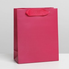 Пакет ламинированный «Фуксия», S 12 × 15 × 5,5 см