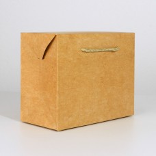 Пакет—коробка «Крафтовый», 23 × 18 × 11 см