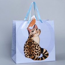 Пакет подарочный «Кот», 30 × 30 × 15 см