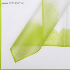 Пленка для цветов "Девушка", зелёный, 0,58 х 0,58 м
