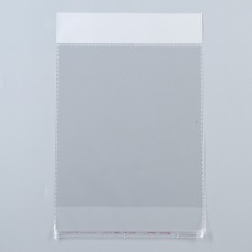 Пакет БОПП с клеевым клапаном, прозрачный 25 х 32/4 см, 25 мкм