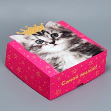 Коробка складная «Котик», 25 х 25 х 10 см