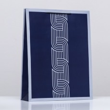Пакет подарочный "Деловые Линии синий", 33 х 42,5 х 10 см