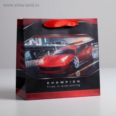 Пакет ламинированный квадратный «Champion», 22 × 22 × 11 см