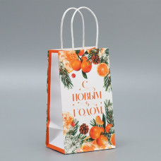 Пакет подарочный крафтовый «Новогодний цитрус», 12 × 21 × 9 см
