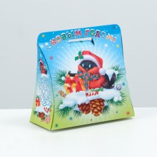 Подарочная коробка "Весёлый снегирь", 20,5 х 24 х 12 см