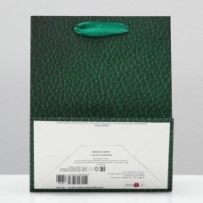 Пакет подарочный "Рептилия", зелёный, 18 х 22,3 х 10 см