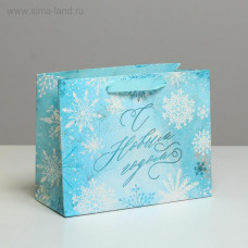 Пакет ламинированный горизонтальный «Морозный день», MS 23 × 18 × 10 см