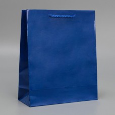Пакет ламинированный «Синий», ML 21 х 25 х 8 см