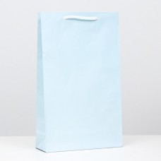 Пакет ламинированный, голубой, 40,5 х 24,8 х 9 см