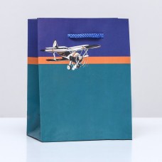 Пакет подарочный "Самолет", 11,5 х14,5 х 6,5 см