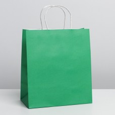 Пакет крафтовый Green, 22 × 25 × 12 см