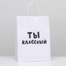 Пакет подарочный «Ты классный», 24 х 10,5 х 32 см, 1 шт