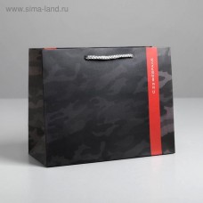 Пакет ламинированный горизонтальный «С 23 февраля», MS 23 × 18 × 10 см
