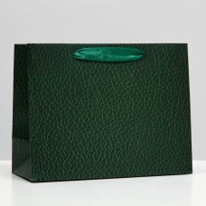 Пакет подарочный "Рептилия", зелёный, 23 х 17,8 х 9,8 см