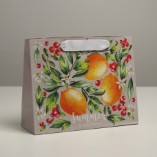 Пакет крафтовый подарочный «Лето», 22 × 17,5 × 8 см