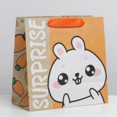 Пакет крафтовый квадратный «Suprise», 22 × 22 × 11 см