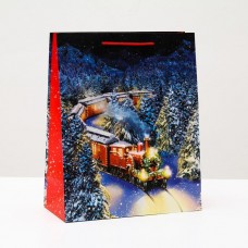 Пакет подарочный "Новогодний поезд", 26 х 32 х 12 см