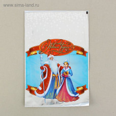 Пакет подарочный "Снегурочка" 25 х 40 см, цветной металлизированный рисунок