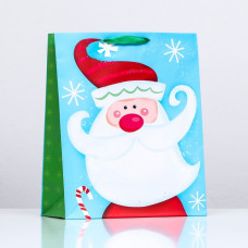 Пакет ламинированный "Дед мороз-красный нос", 26 x 32 x 12 см