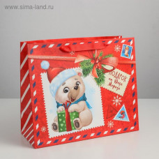 Пакет ламинированный горизонтальный «Подарок от Деда Мороза», ML 27 × 23 × 11,5 см
