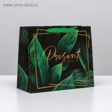 Пакет ламинированный горизонтальный «Present for you», ML 27 × 23 × 11,5 см