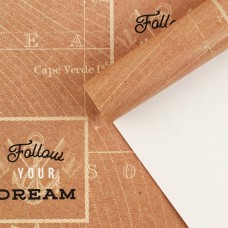 Бумага упаковочная глянцевая «Follow your dream», 60 × 90 см
