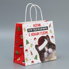 Пакет подарочный крафтовый «Котик», 22 × 22 × 11 см