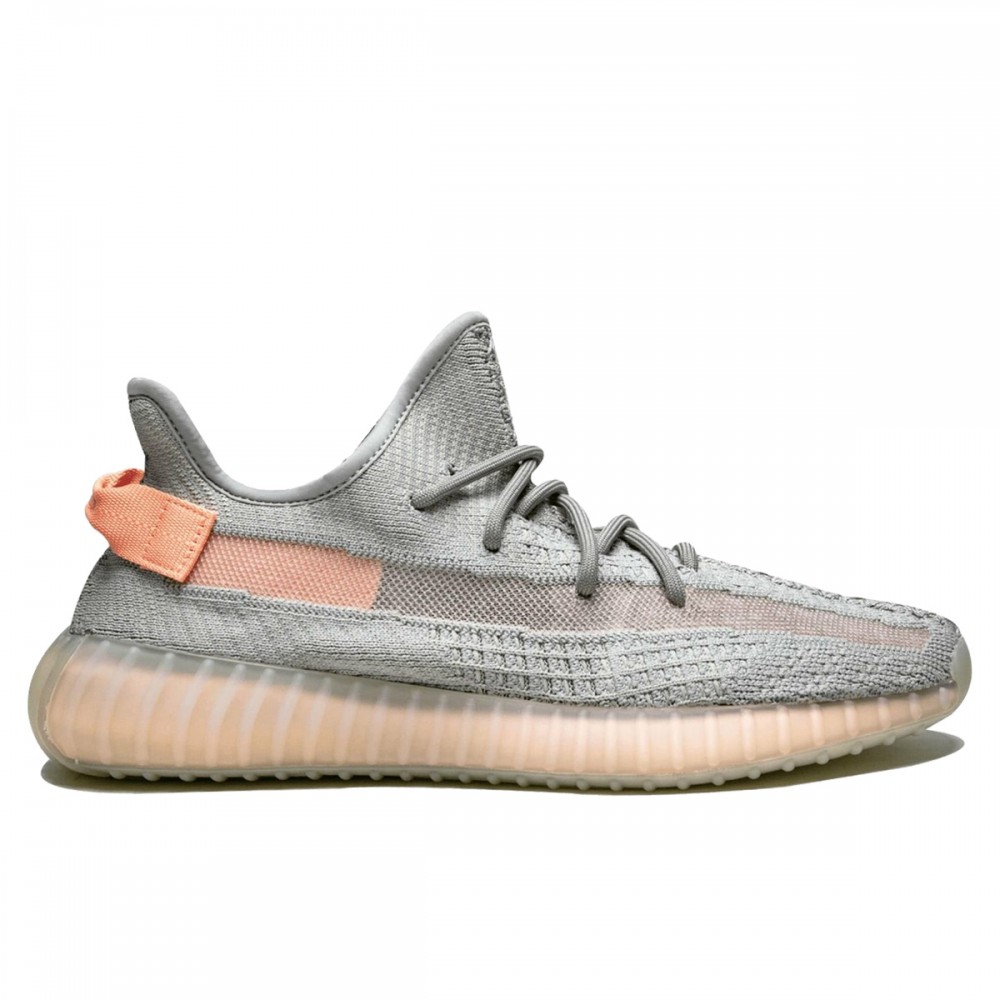 Adidas yееzy boost 350 v2 true form