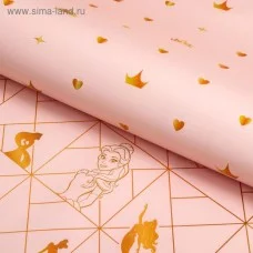 Бумага упаковочная глянцевая двусторонняя , Принцессы,  60x90 см