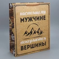 Пакет ламинированный «Для настоящего мужчины», 40 × 49 × 15 см