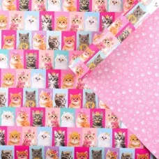 Бумага двухсторонняя крафтовая «Коты», 70 × 100 см