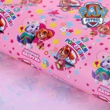 Бумага упаковочная глянцевая Paw Patrol "С днем рождения! Самой классной", 70х100 см